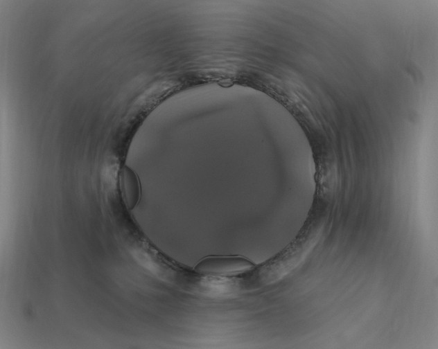 X0000112420231200909111016