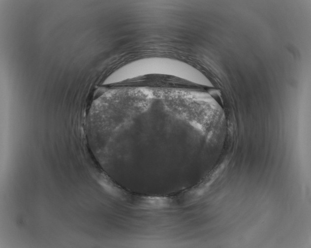 X0000112420233200909111016