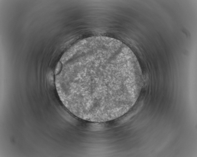 X0000112420238200909111016