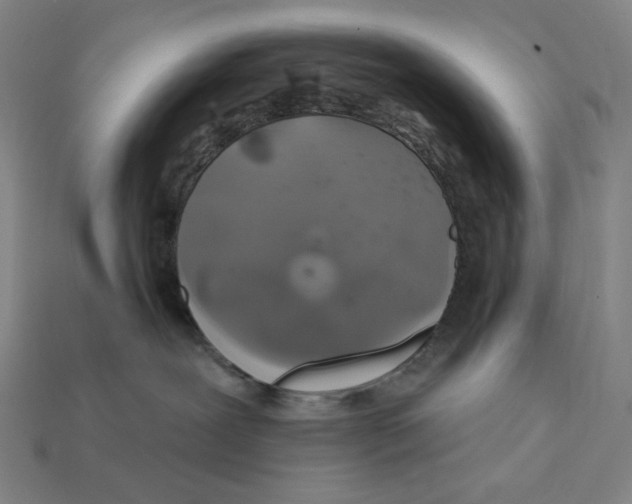 X0000112420239200909111016