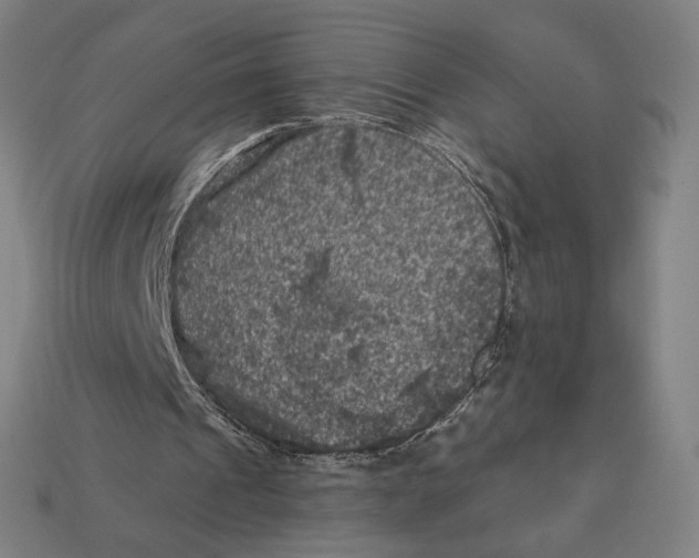 X0000112420241200909111016