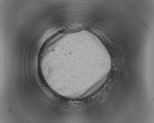 X0000112420242200909111016