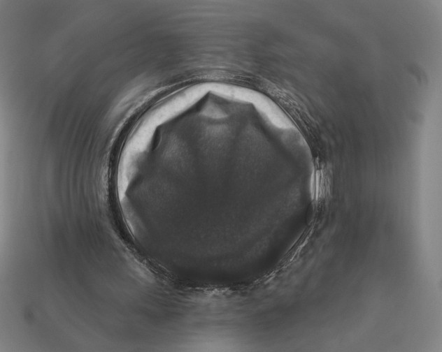 X0000112420243200909111016