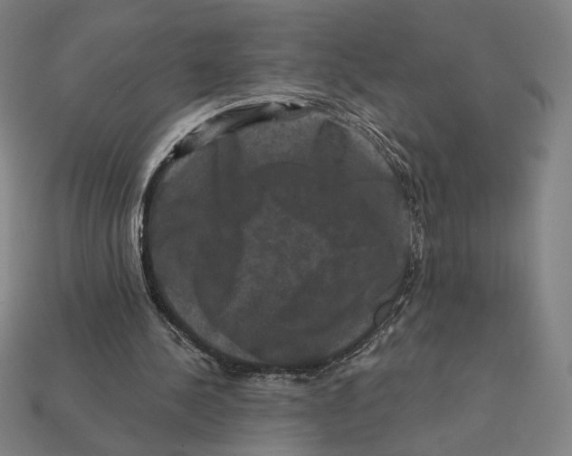 X0000112420244200909111016