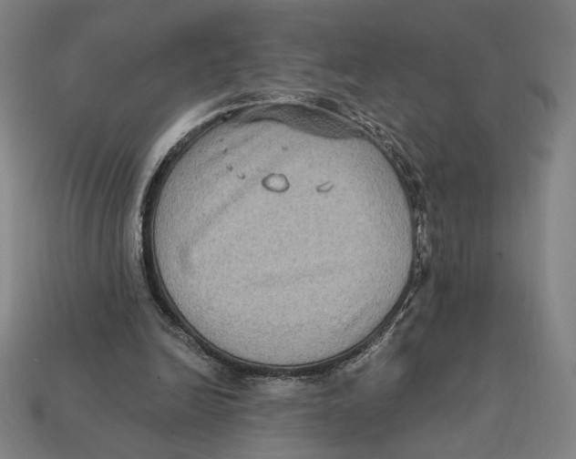 X0000112420246200909111016