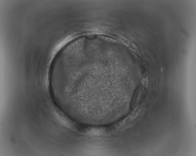 X0000112420248200909111016