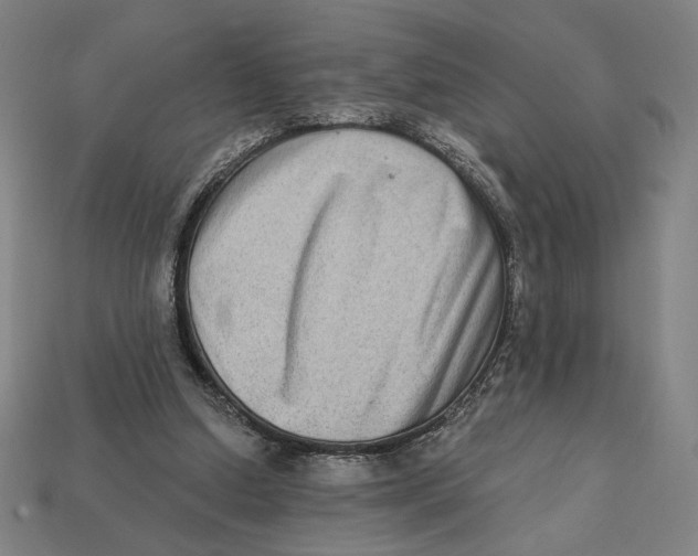 X0000112420250200909111016