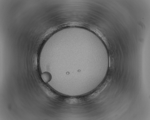 X0000112420253200909111016