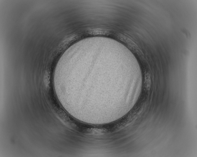 X0000112420255200909111016