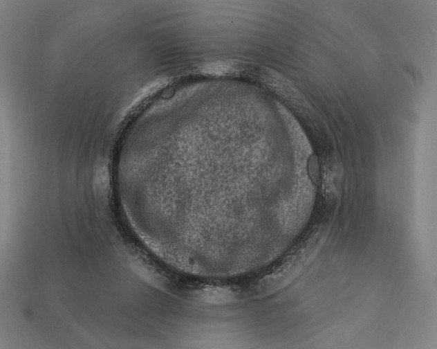 X0000112420256200909111016