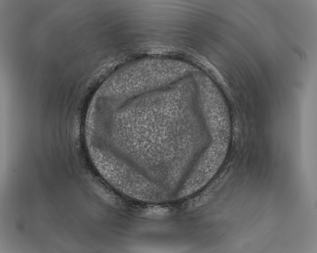 X0000112420257200909111016