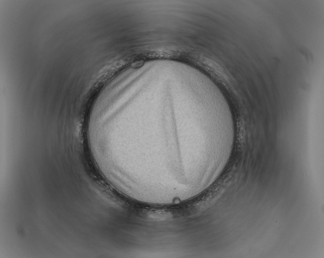 X0000112420258200909111016