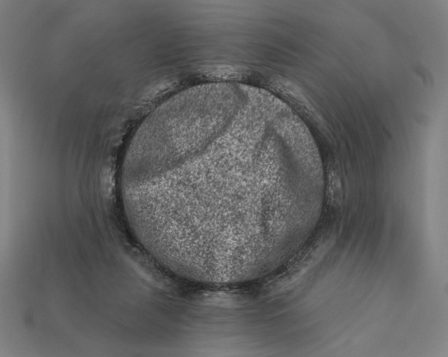 X0000112420259200909111016