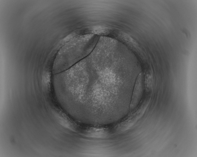 X0000112420260200909111016