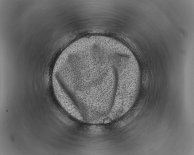 X0000112420261200909111016