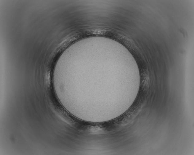 X0000112420262200909111016