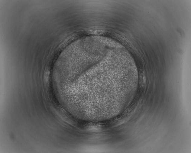 X0000112420263200909111016