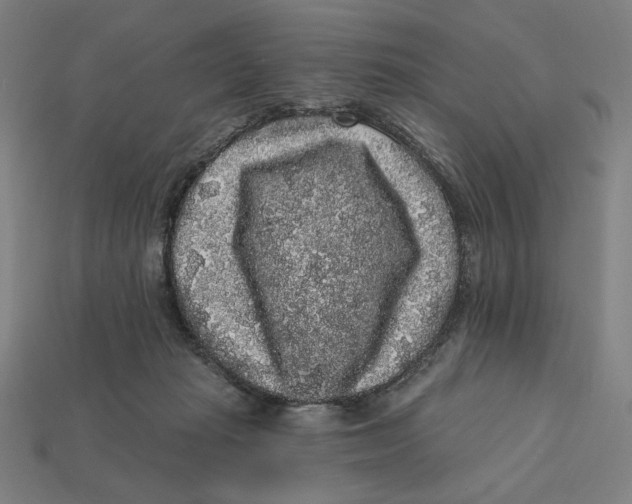 X0000112420269200909111016