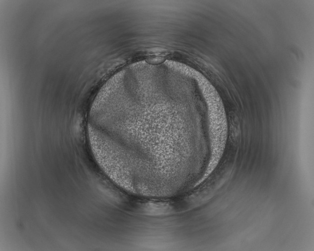 X0000112420270200909111016