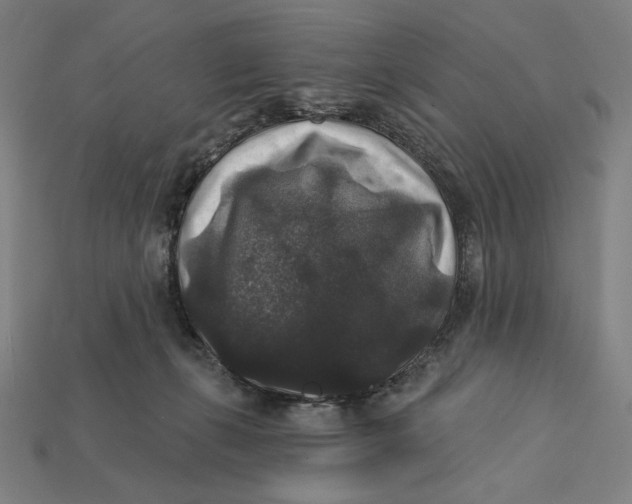 X0000112420271200909111016