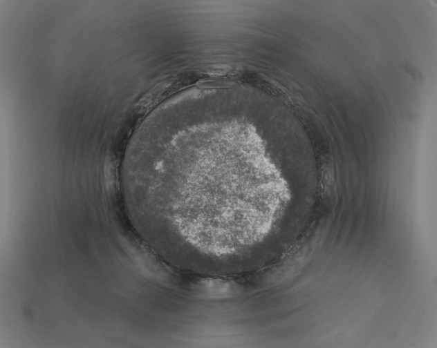 X0000112420272200909111016