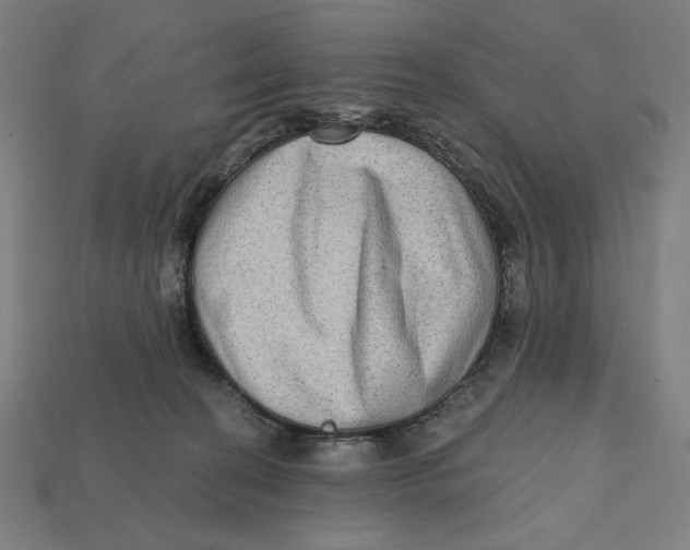 X0000112420274200909111016