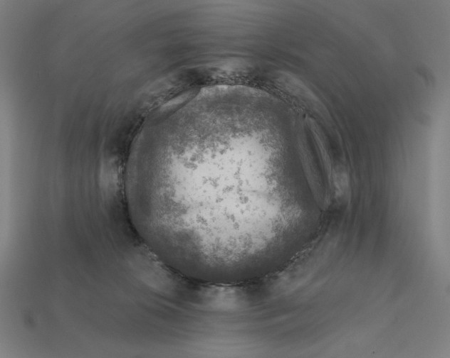 X0000112420276200909111016