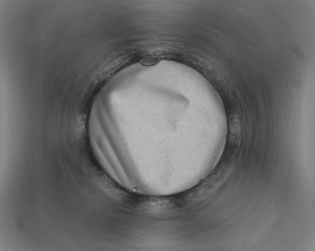 X0000112420278200909111016