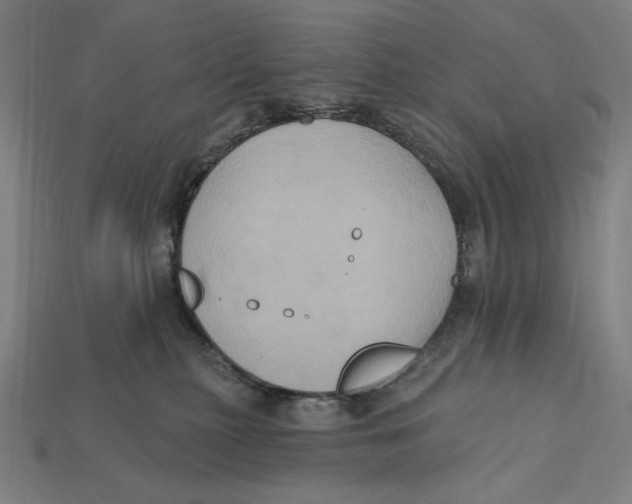 X0000112420279200909111016