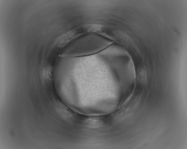 X0000112420280200909111016