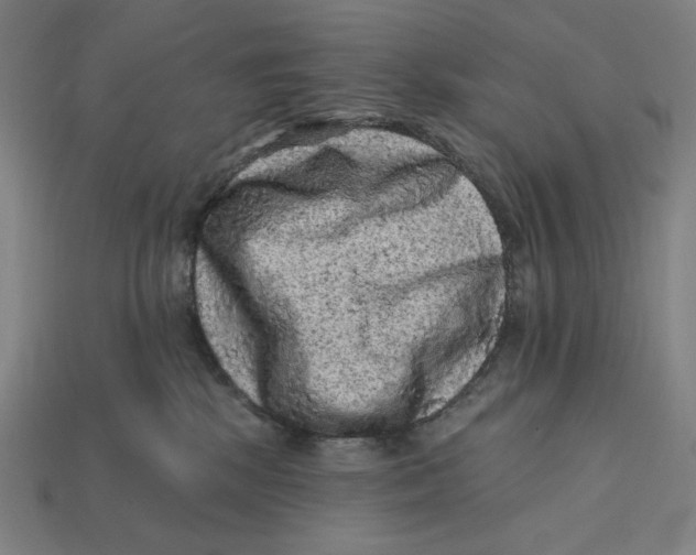 X0000112420281200909111016