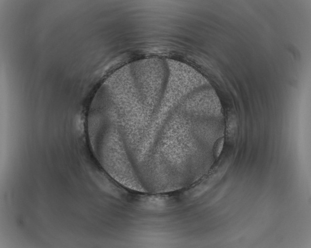 X0000112420282200909111016