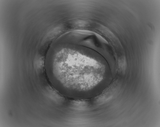 X0000112420284200909111016