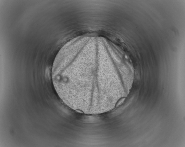 X0000112420286200909111016