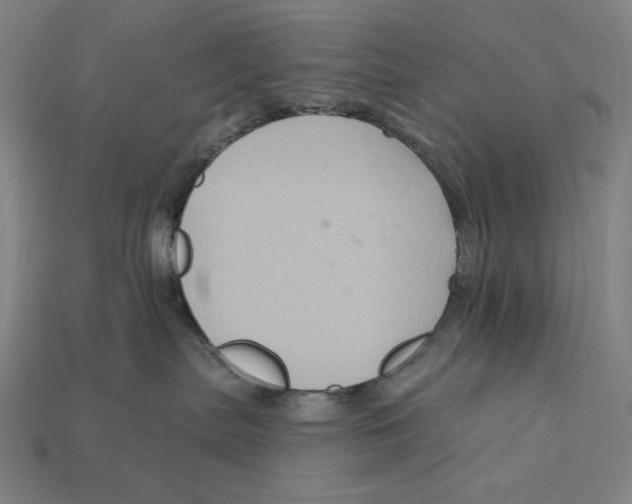 X0000112420287200909111016