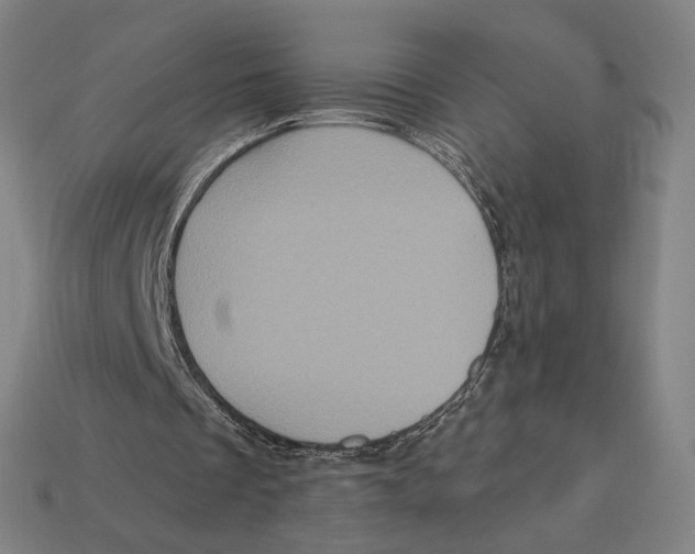 X0000112420289200909111016