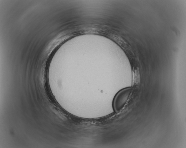 X0000112420291200909111016