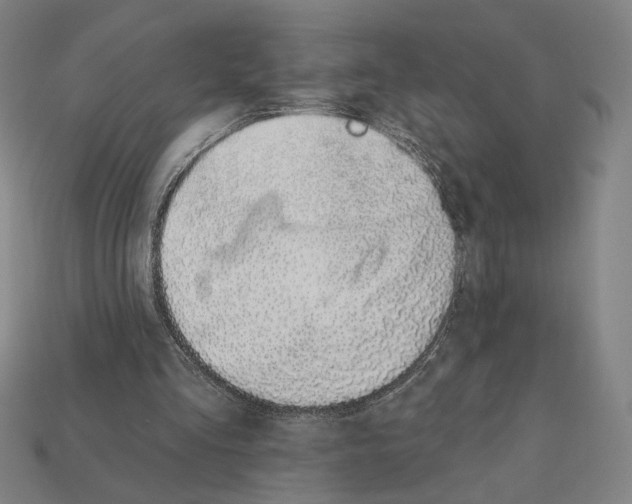 X0000112420293200909111015