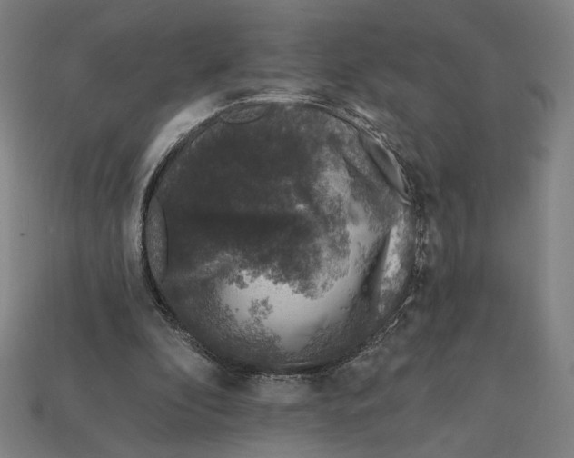 X0000112420296200909111015