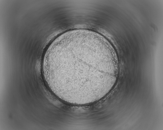 X0000112420297200909111015