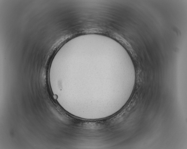 X0000112420298200909111015