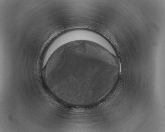 X0000112420300200909111015