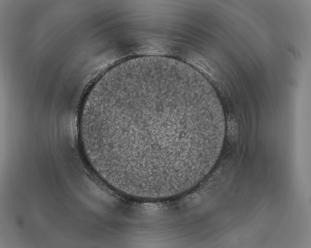 X0000112420302200909111015