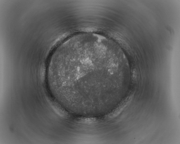 X0000112420304200909111015