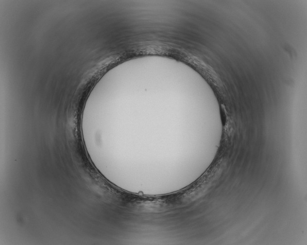 X0000112420306200909111015