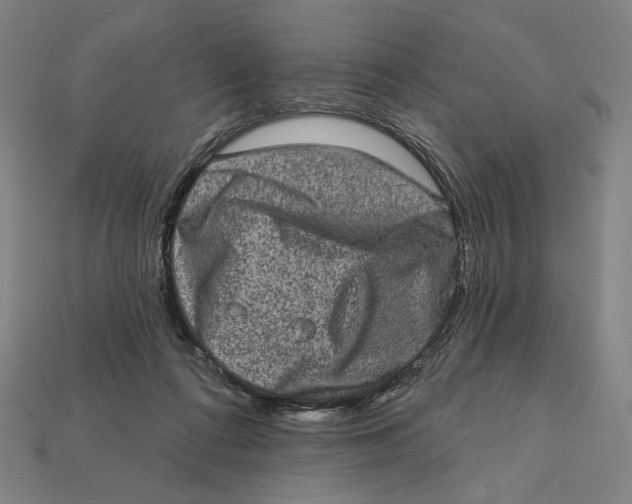 X0000112420312200909111015