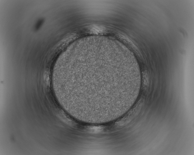 X0000112420313200909111015