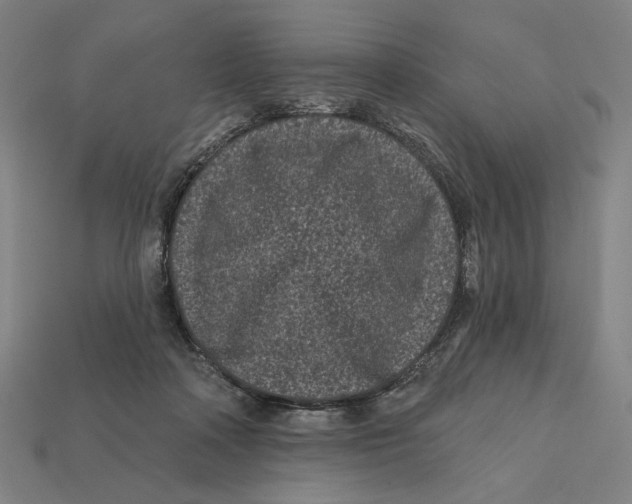 X0000112420314200909111015