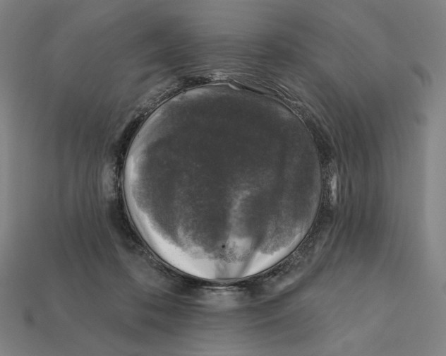 X0000112420316200909111015