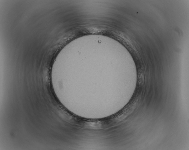 X0000112420317200909111015